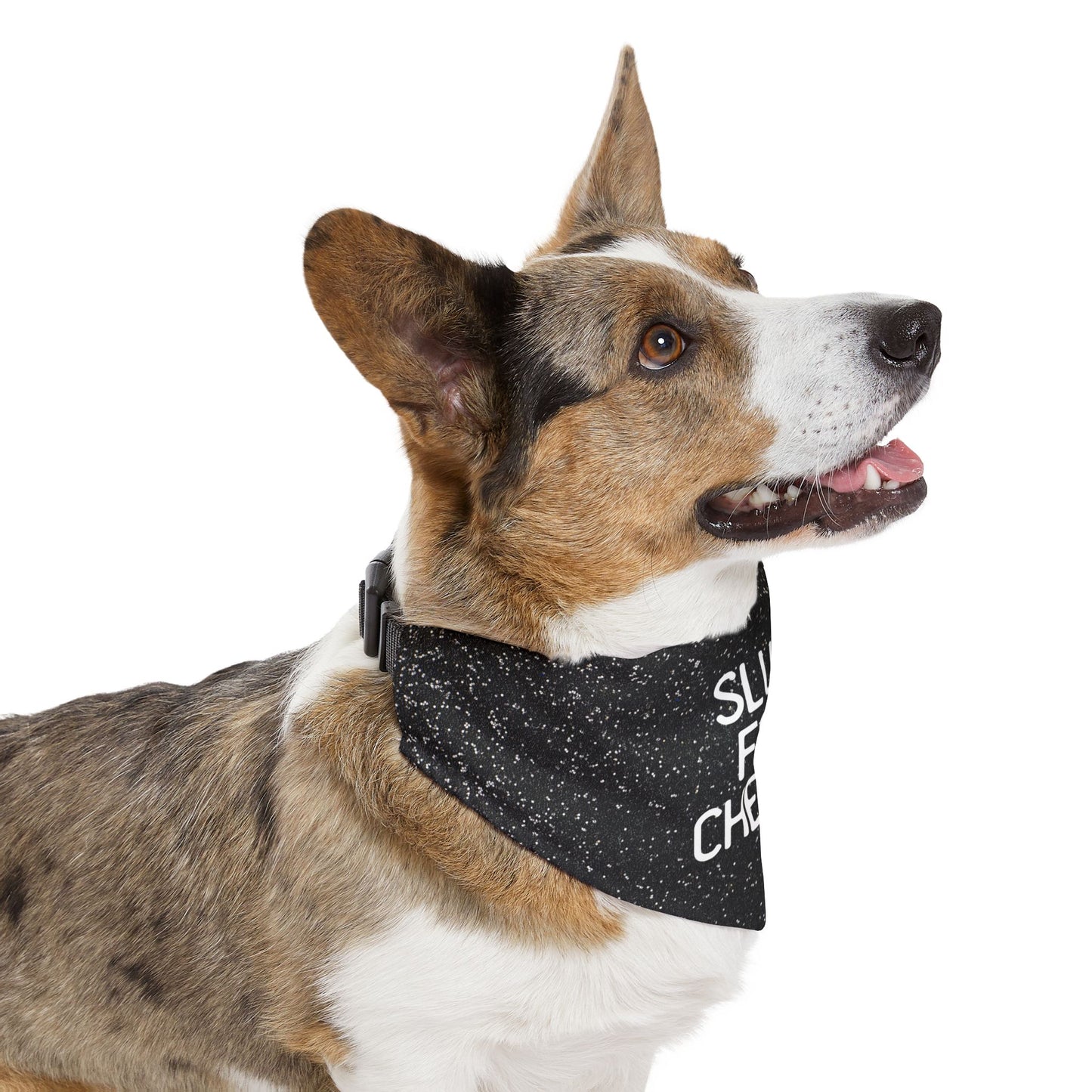 Slut For Cheese Pet Bandana