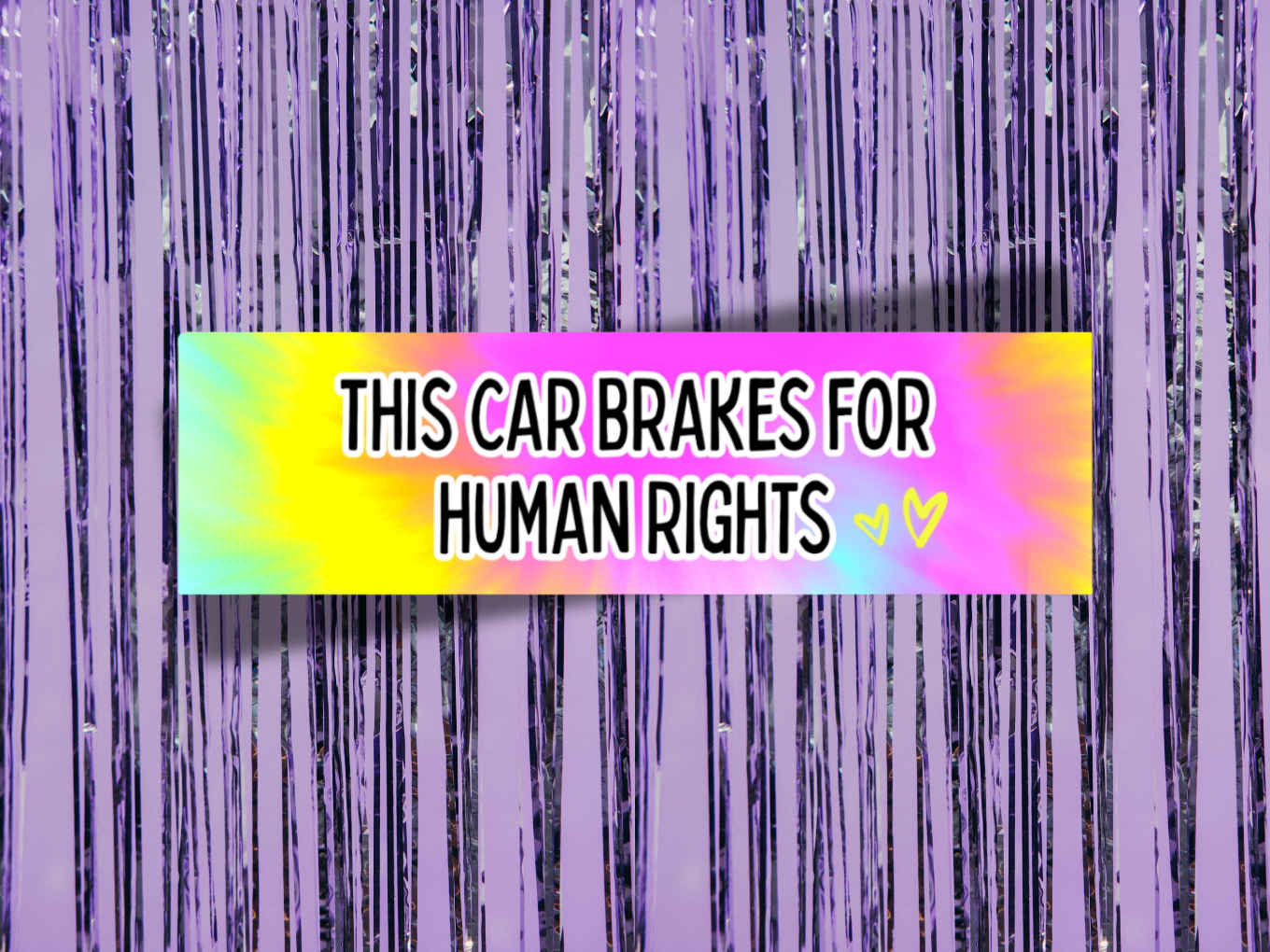 This Car Brakes For Human Rights Bumper Stickers | Vinyl Sticker