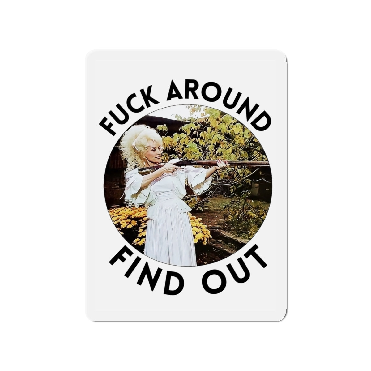 Sassy Magnet, Funny Magnet, Sarcastic Decor, Mature Content, Die-Cut Magnets