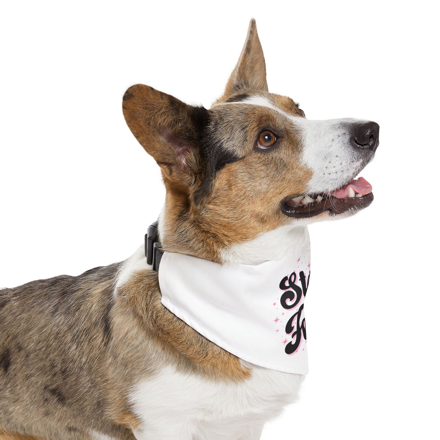 Sterile but Feral Pet Bandana