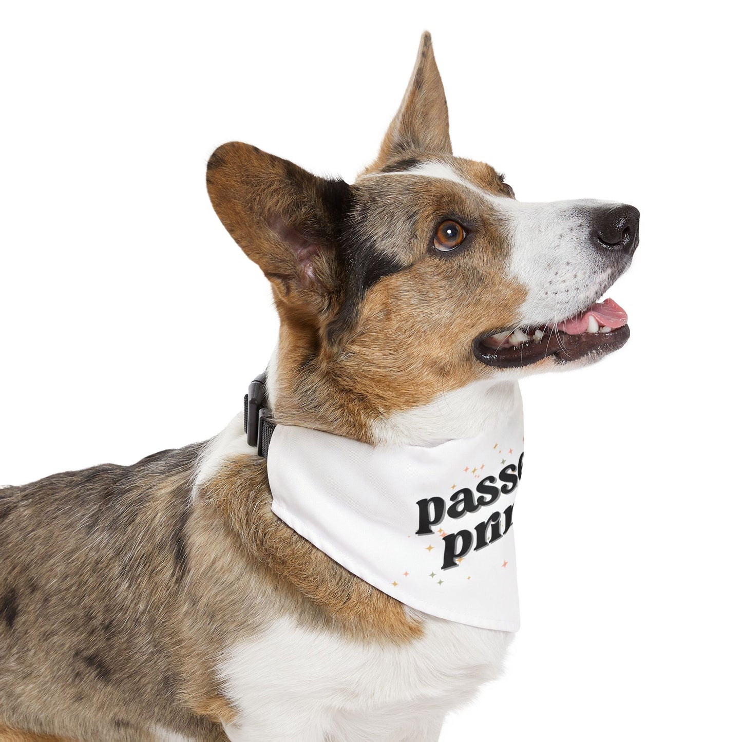 Passenger Princess Pet Bandana