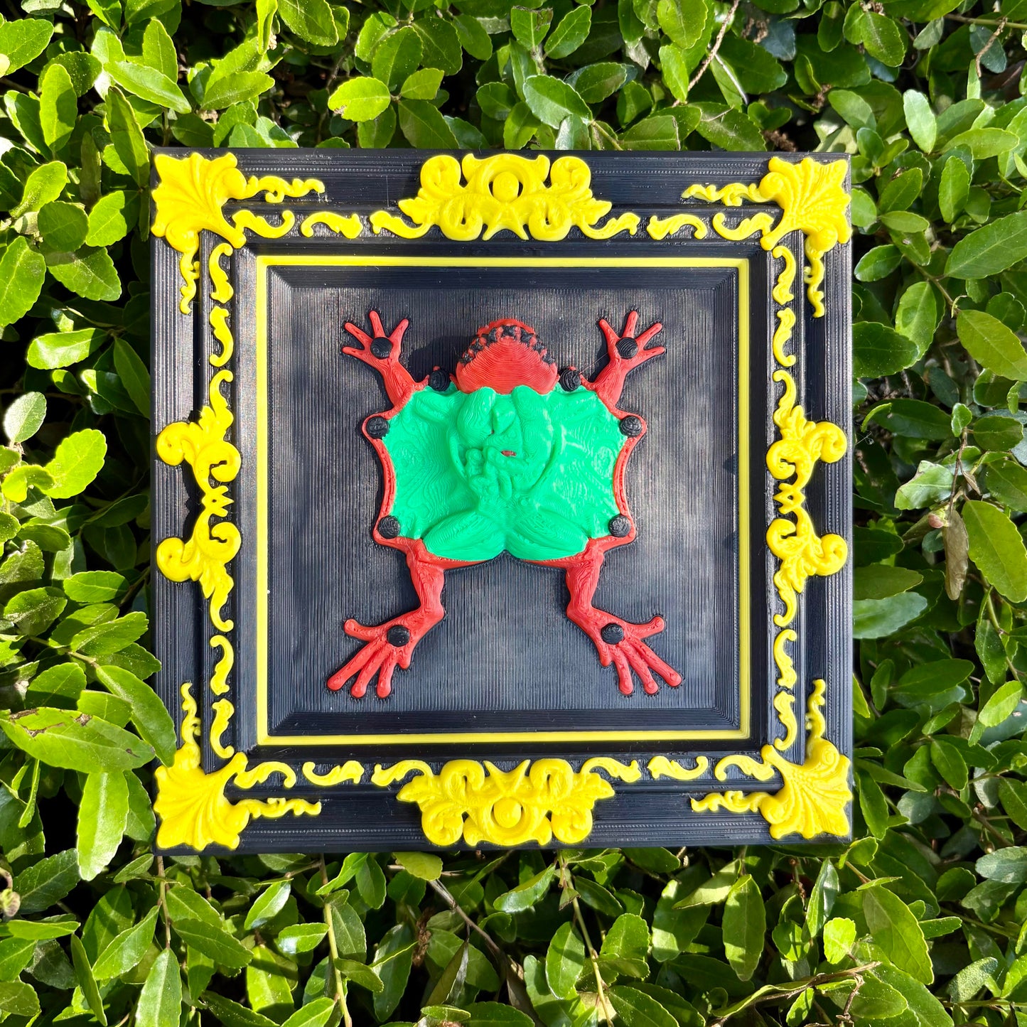 Dissected Frog Wall Art – 3D Printed Oddities Decor for Alternative Homes