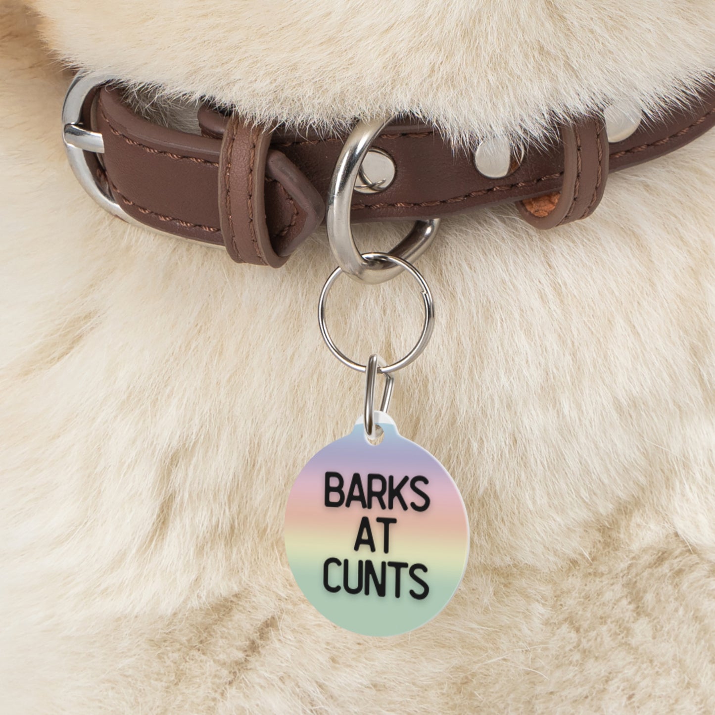 Barks at Cunts | Funny Pet ID Tag for Dogs and Cats | Sarcastic Pet Accessory