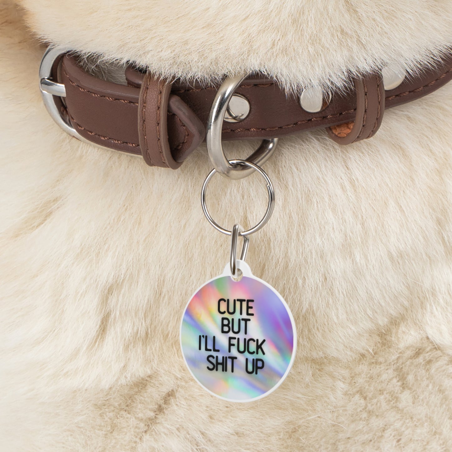 Cute But I'll Fuck Shit Up | Funny Pet ID Tag for Dogs and Cats | Sarcastic Pet Accessory