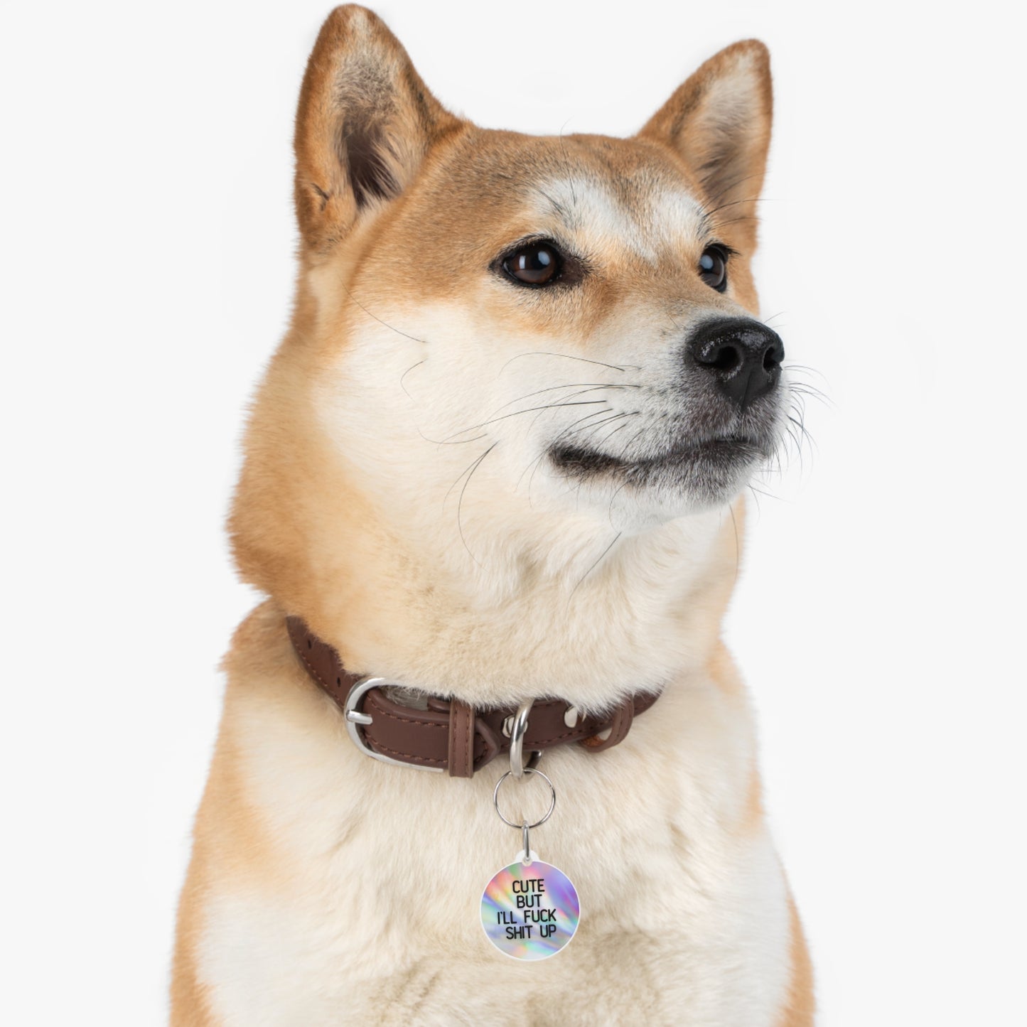 Cute But I'll Fuck Shit Up | Funny Pet ID Tag for Dogs and Cats | Sarcastic Pet Accessory