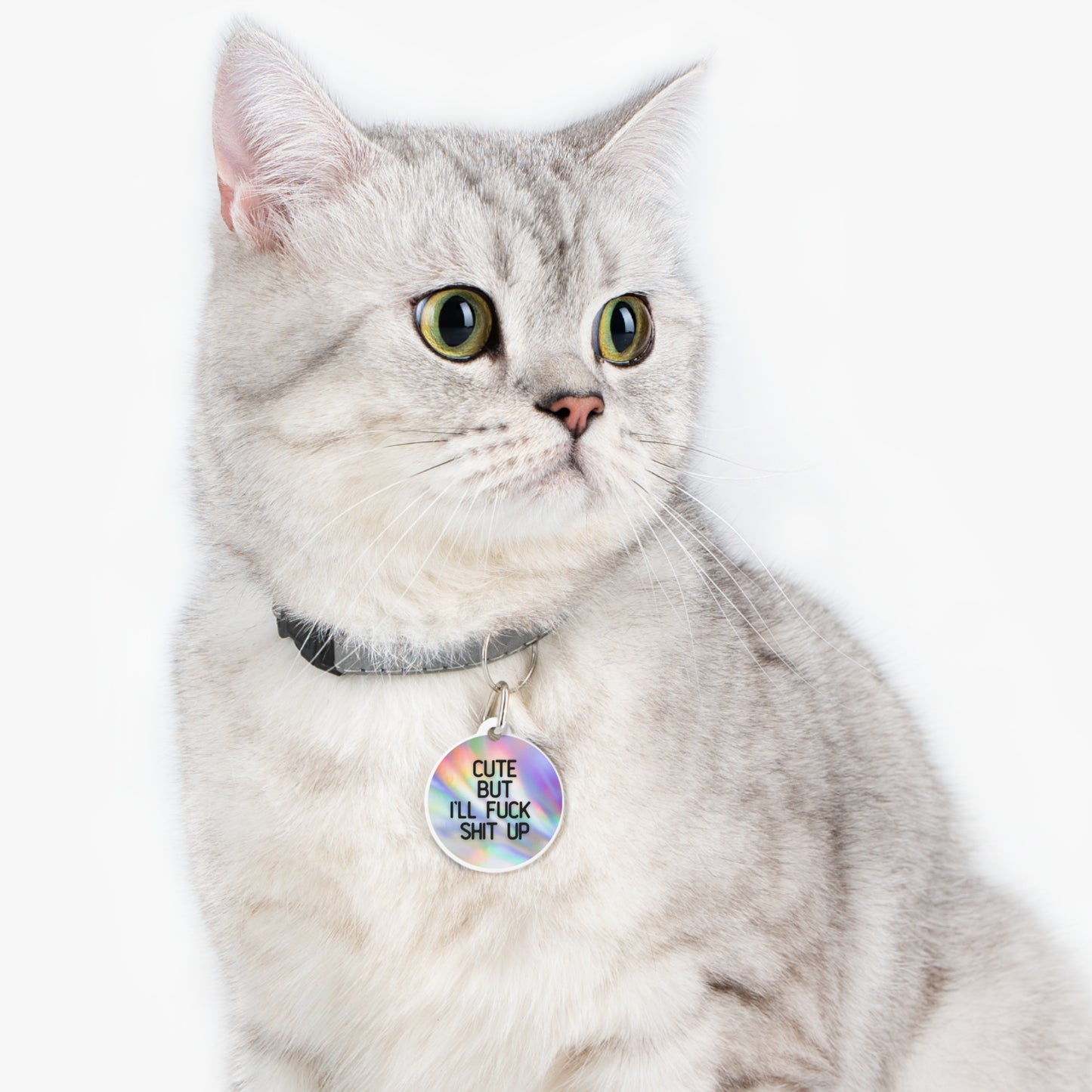 Cute But I'll Fuck Shit Up | Funny Pet ID Tag for Dogs and Cats | Sarcastic Pet Accessory
