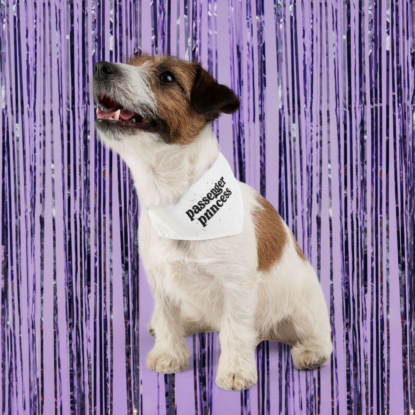 Passenger Princess Pet Bandana