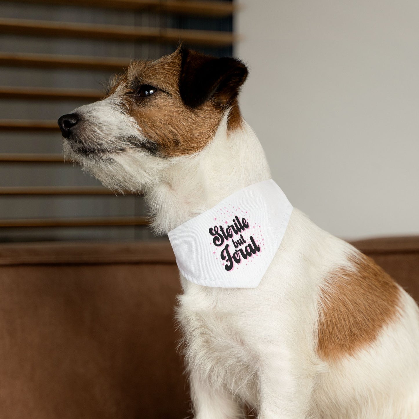 Sterile but Feral Pet Bandana
