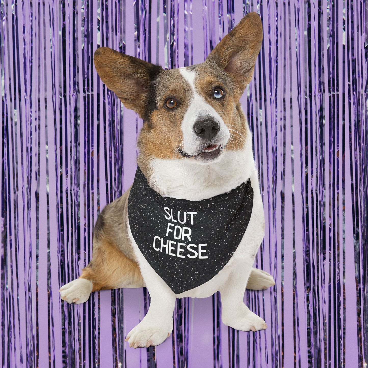 Slut For Cheese Pet Bandana