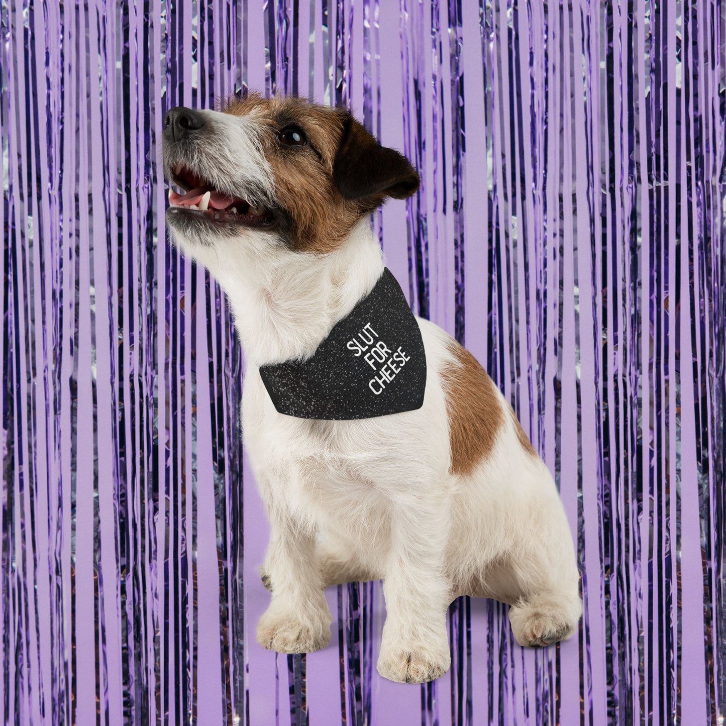 Slut For Cheese Pet Bandana