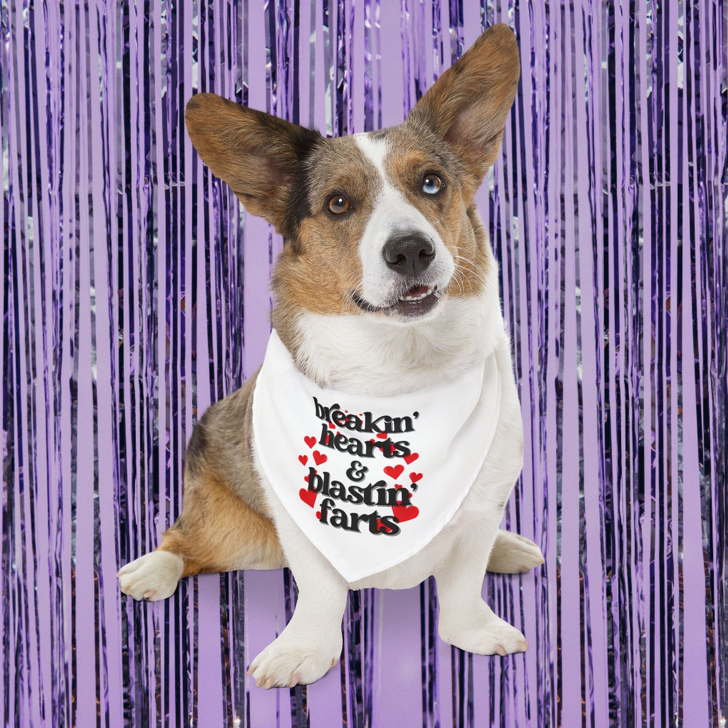 Breakin' Hearts and Blastin' Farts Pet Bandana