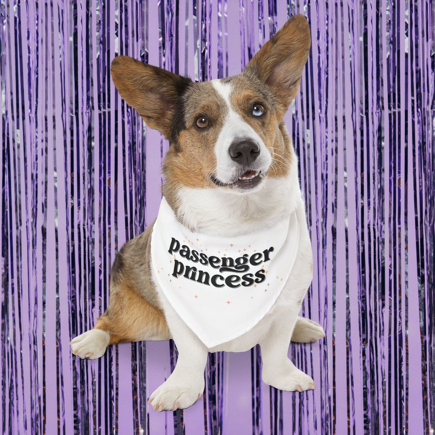 Passenger Princess Pet Bandana