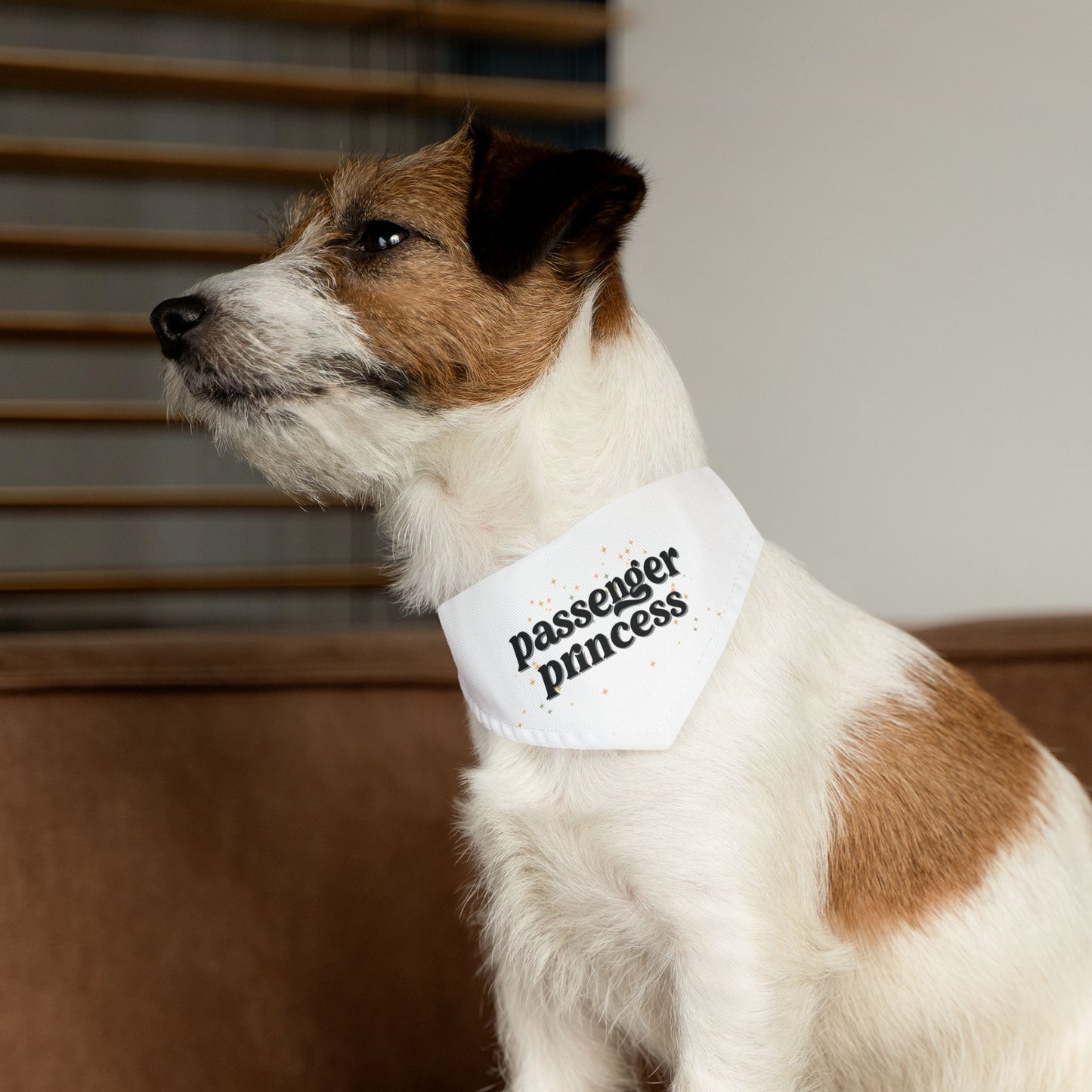 Passenger Princess Pet Bandana