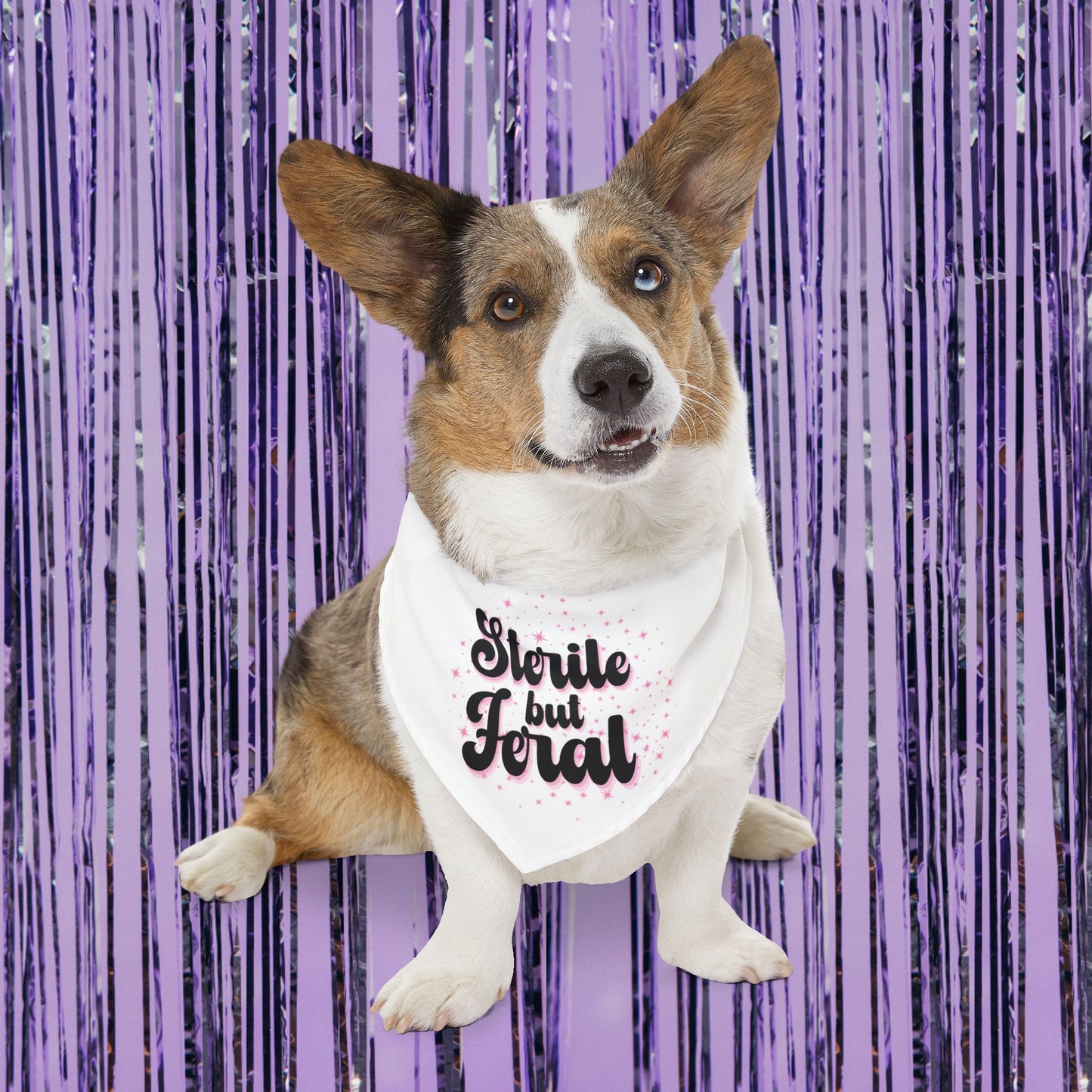 Sterile but Feral Pet Bandana