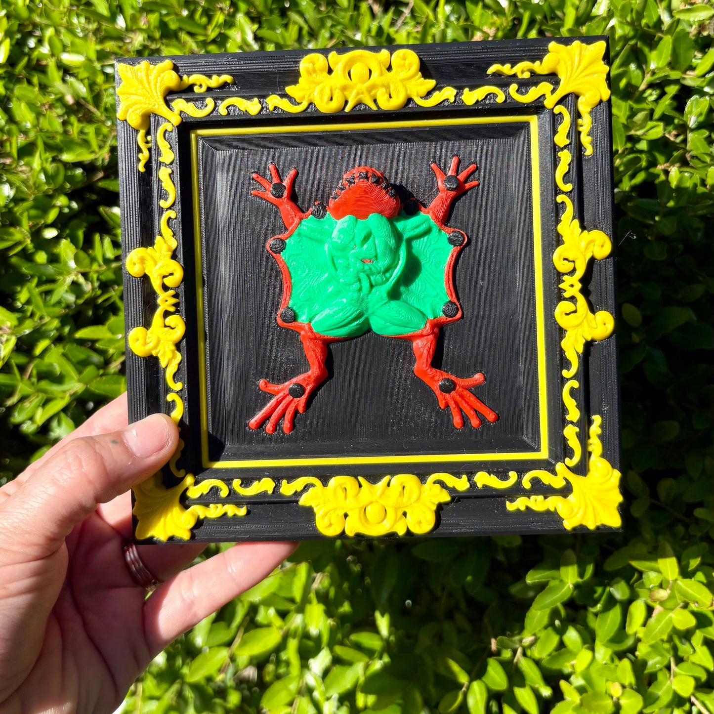 Dissected Frog Wall Art – 3D Printed Oddities Decor for Alternative Homes