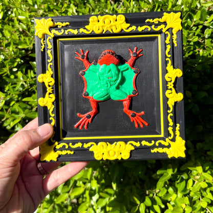 Dissected Frog Wall Art – 3D Printed Oddities Decor for Alternative Homes