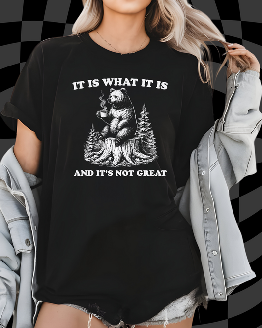 It Is What It Is & It's Not Great Unisex T-Shirt