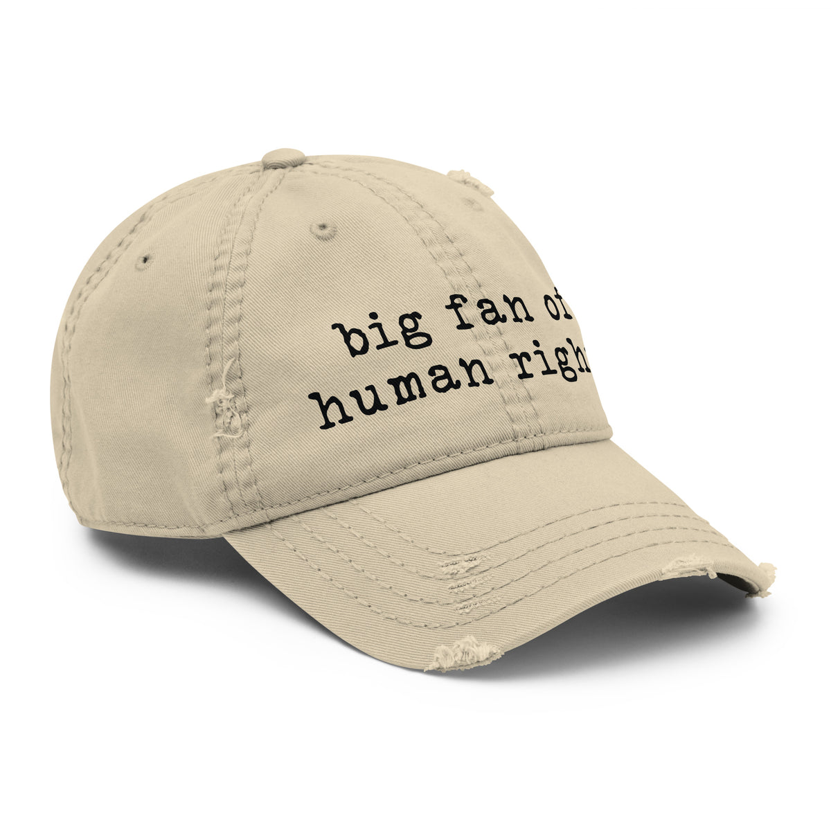 Human Rights Dad Big Fan Of Human Rights Distressed Dad Hat – Lavender & Rage